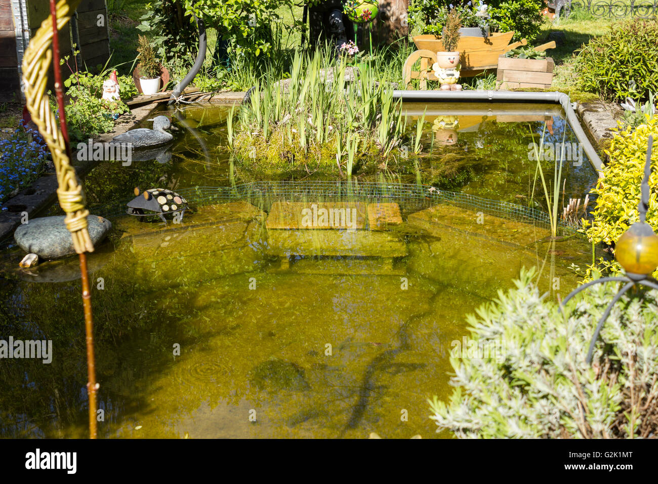 Biotop für Fotos und Bildmaterial in hoher Auflösung Alamy
