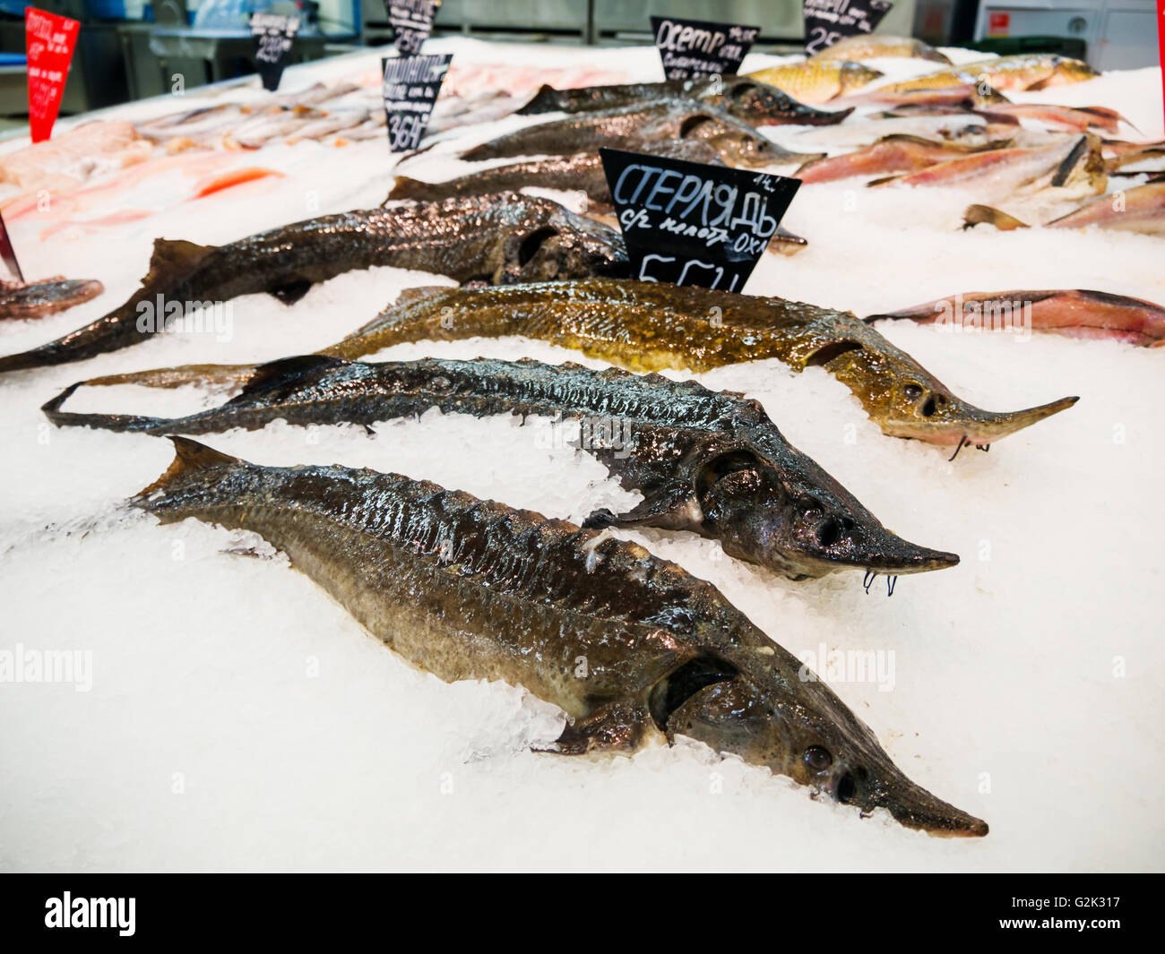 Frischfisch auf Eis zum Verkauf auf Markt Stockfoto