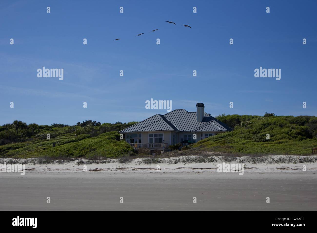 Vögel fliegen über eine Strand-Eigenschaft auf Kiawah Island resort Stockfoto