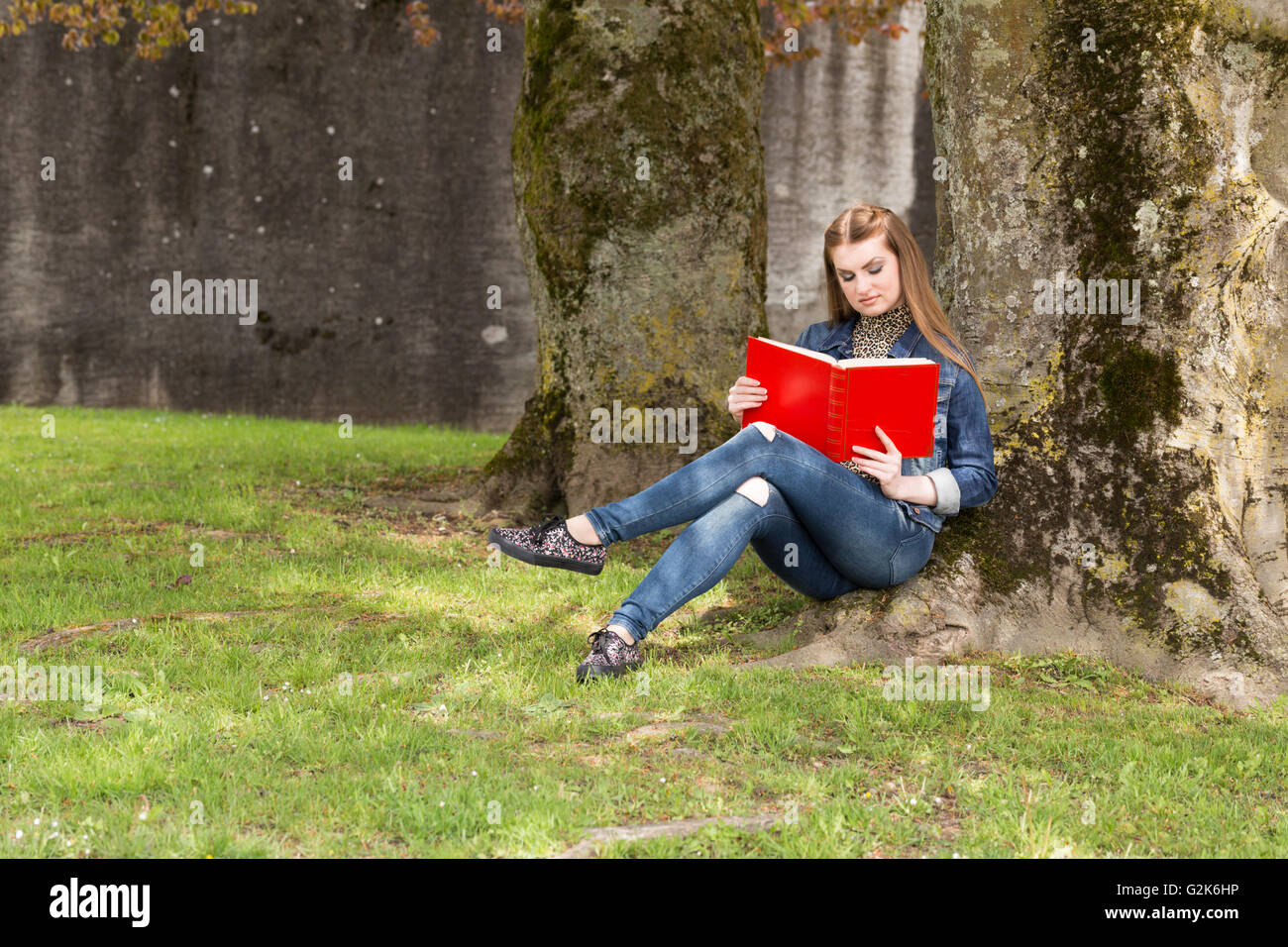 Eine junge braune dunkelhaarige Frau in blauen Jeans sitzt in einem Park und einem großen roten Buch. Stockfoto