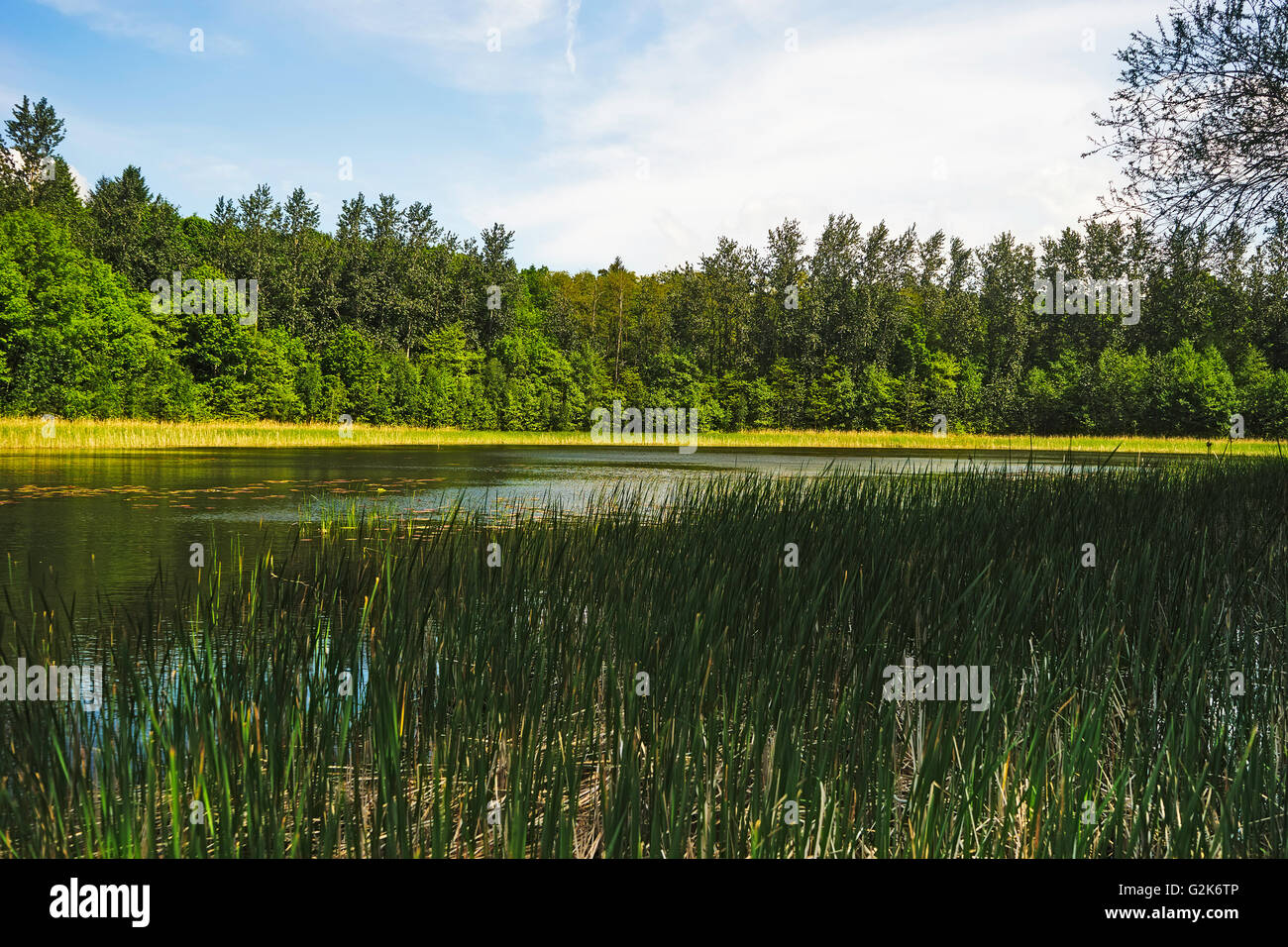 Brandsee Stockfoto