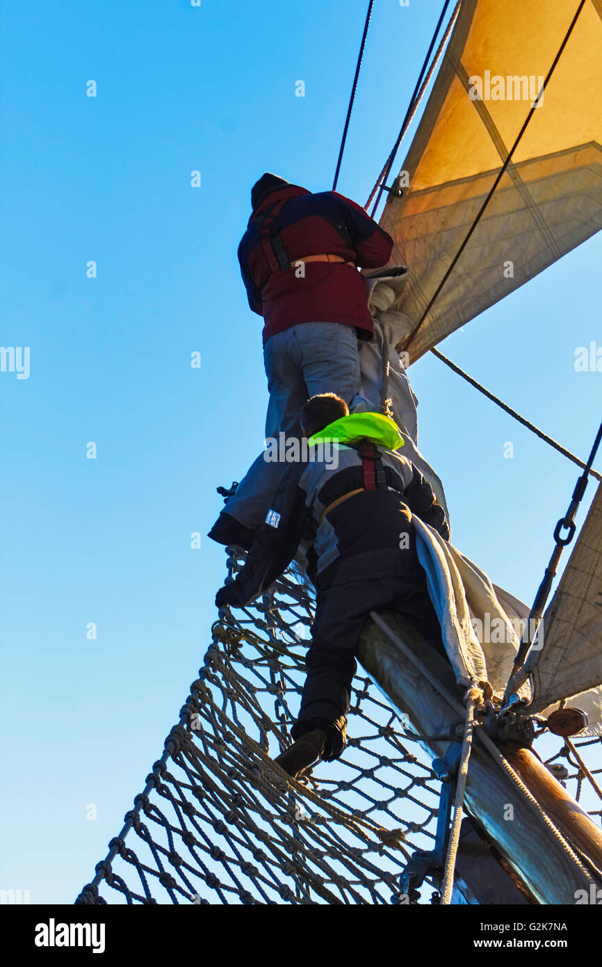 Albatros Segeln Handhabung Stockfoto