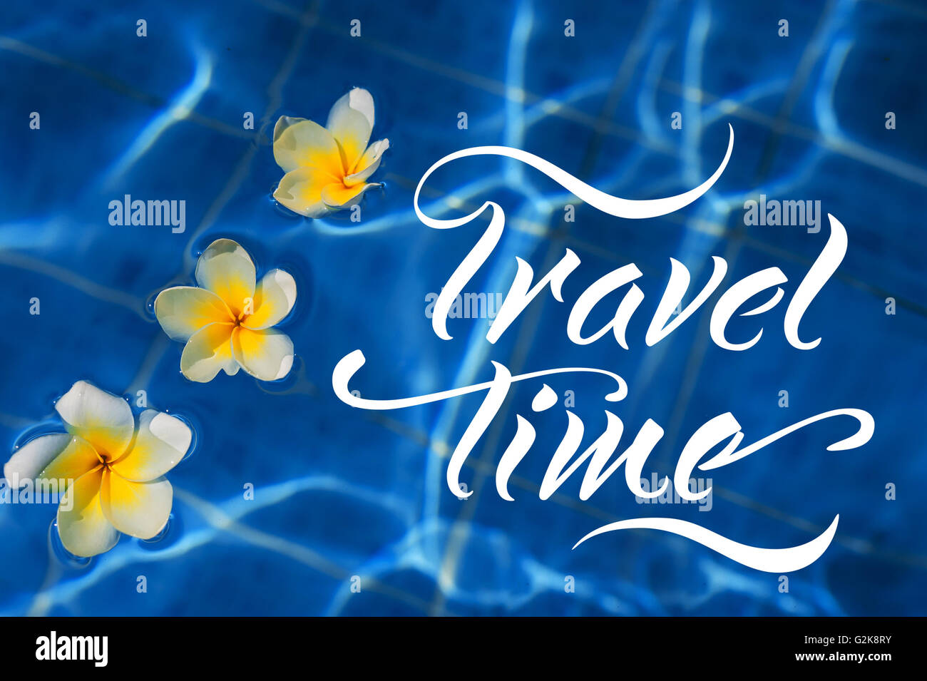 Tropischen Frangipani Blume schweben im blauen Wasser und Worte Reisezeit Stockfoto