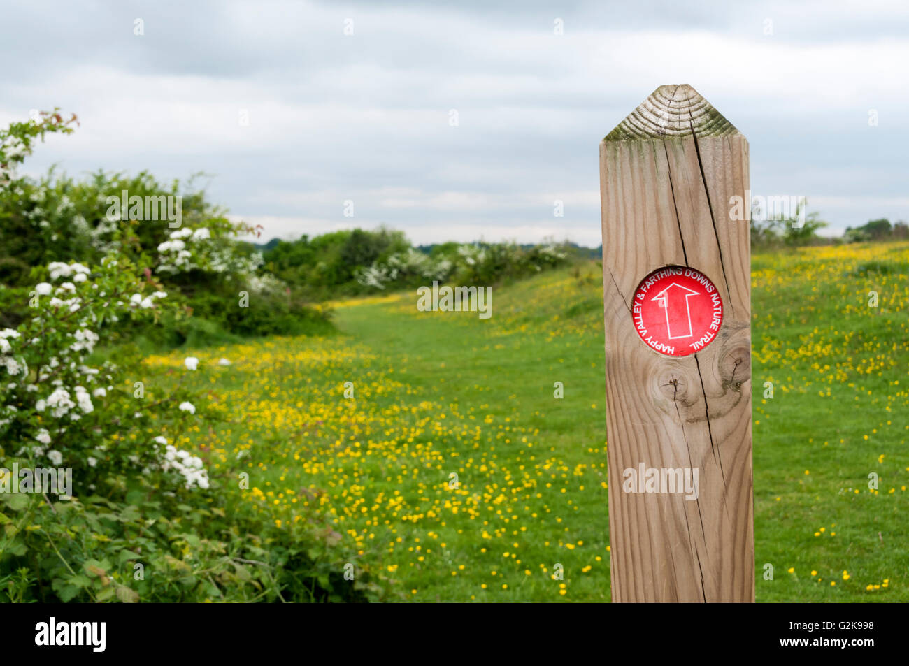 Ein Wegpunkt Post für die Happy Valley & Farthing Downs Nature Trail. Stockfoto