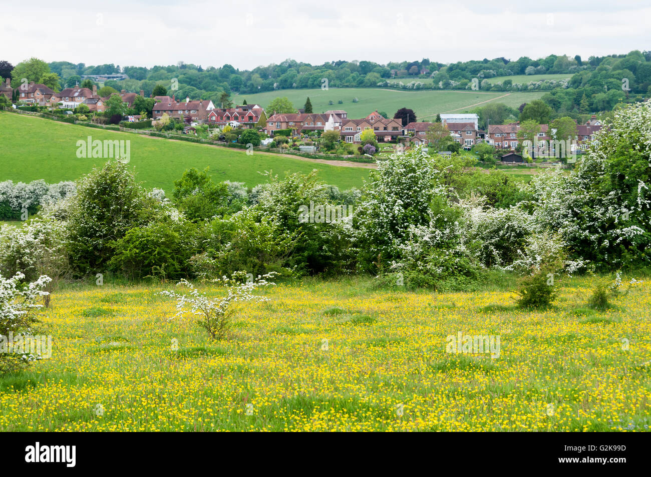 Heller-Downs, ein Bereich des geöffneten Raumes im Besitz von der City of London & Teil des Grünen Bandes landen im Süden von London. Stockfoto