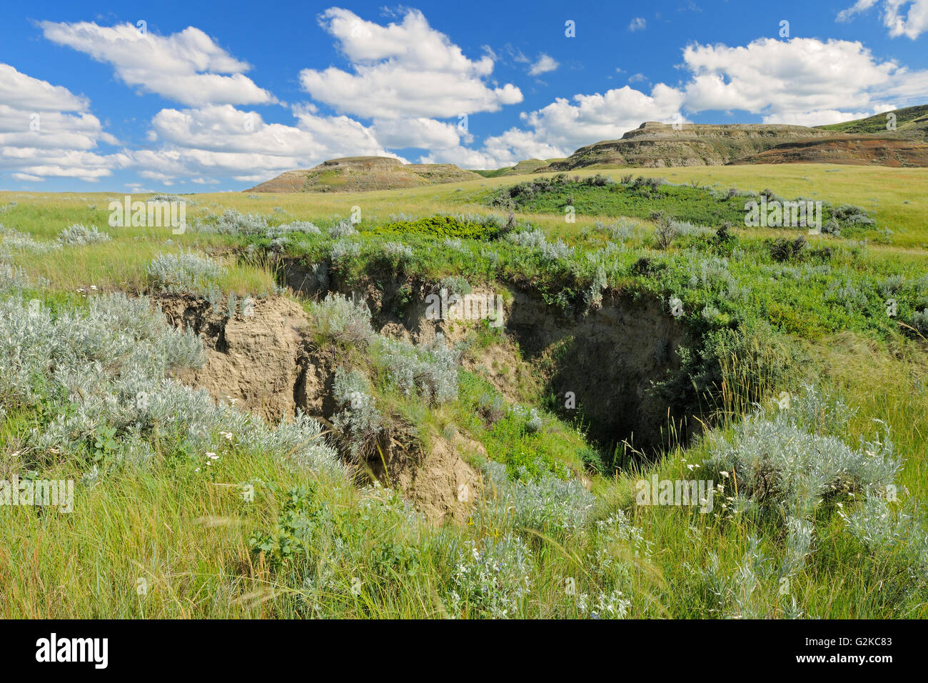 Killdeer Badlands unter Grasland (Ostblock) wiesen Nationalpark Saskatchewan Kanada Stockfoto