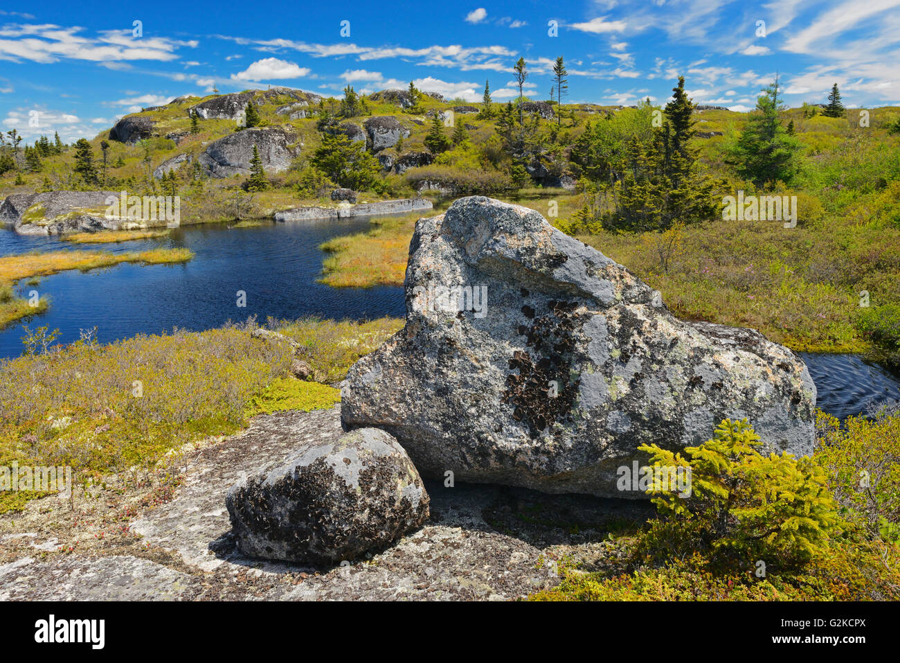 Felsige Landschaft West Dover Nova Scotia Kanada Stockfoto