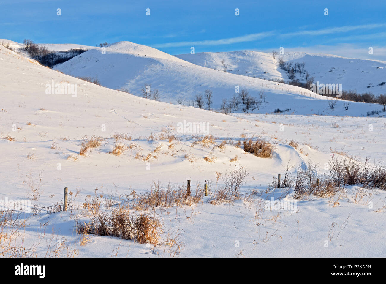 Winterlandschaft in Qu' Appelle Valley in der Nähe von Craven Saskatchewan Kanada Stockfoto