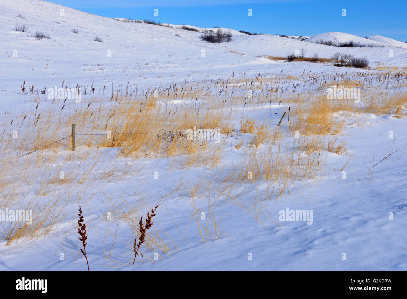 Winterlandschaft in Qu' Appelle Valley in der Nähe von Craven Saskatchewan Kanada Stockfoto