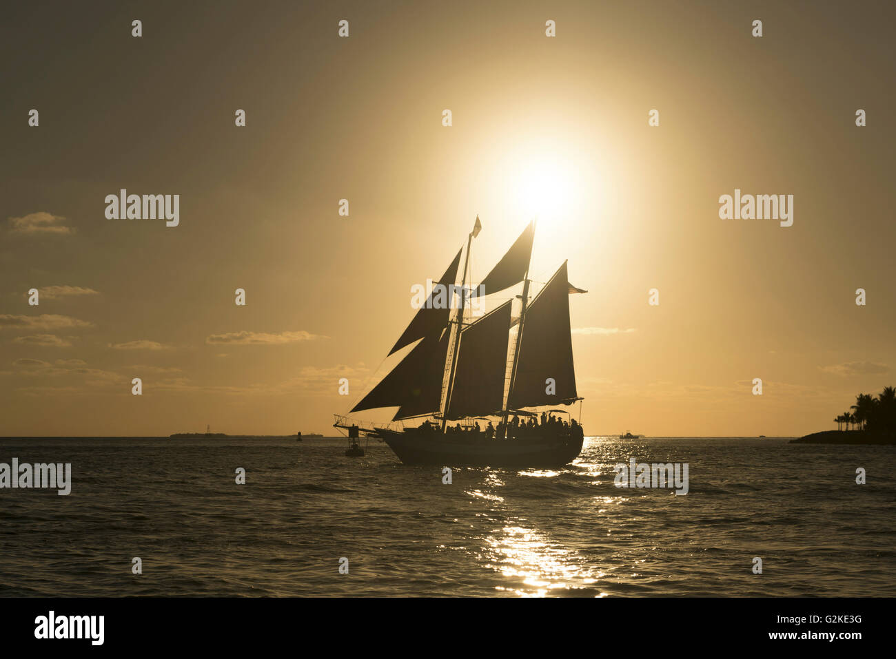 Segelschiff bei Sonnenuntergang, Key West, Key West, Florida Keys, Florida, Vereinigte Staaten von Amerika Stockfoto
