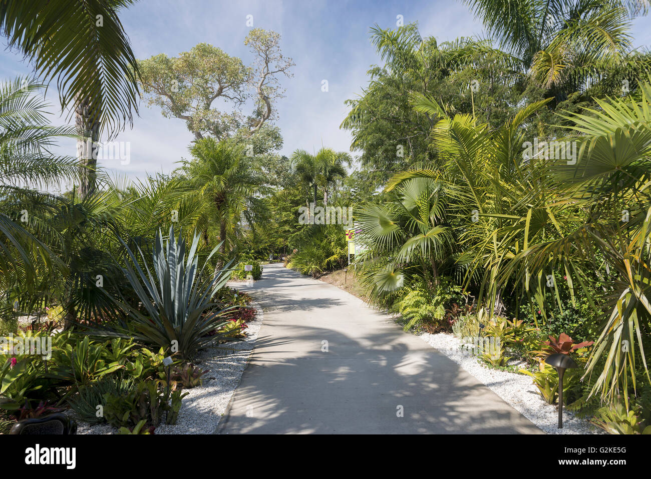 Karibik-Garten, Naples Botanischer Garten, Naples, Collier County, Florida, Vereinigte Staaten von Amerika Stockfoto