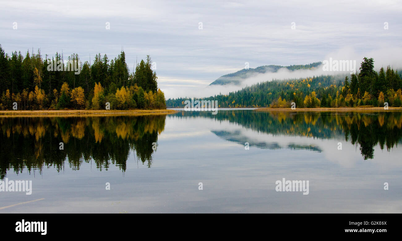 Herbstfarben entlang der Ufer des Hidden-See in der Nähe Enderby, in der Shuswap-Region von British Columbia, Kanada. Stockfoto