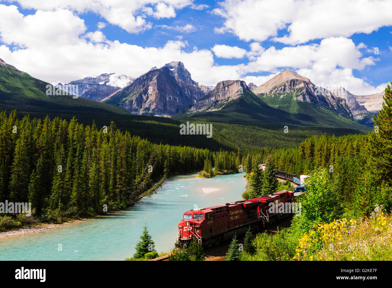 Ein Güterzug der Canadian Pacific bei Morant Kurve entlang des Bow River am Bow Valley Parkway in der Nähe von Banff, Alberta Stockfoto