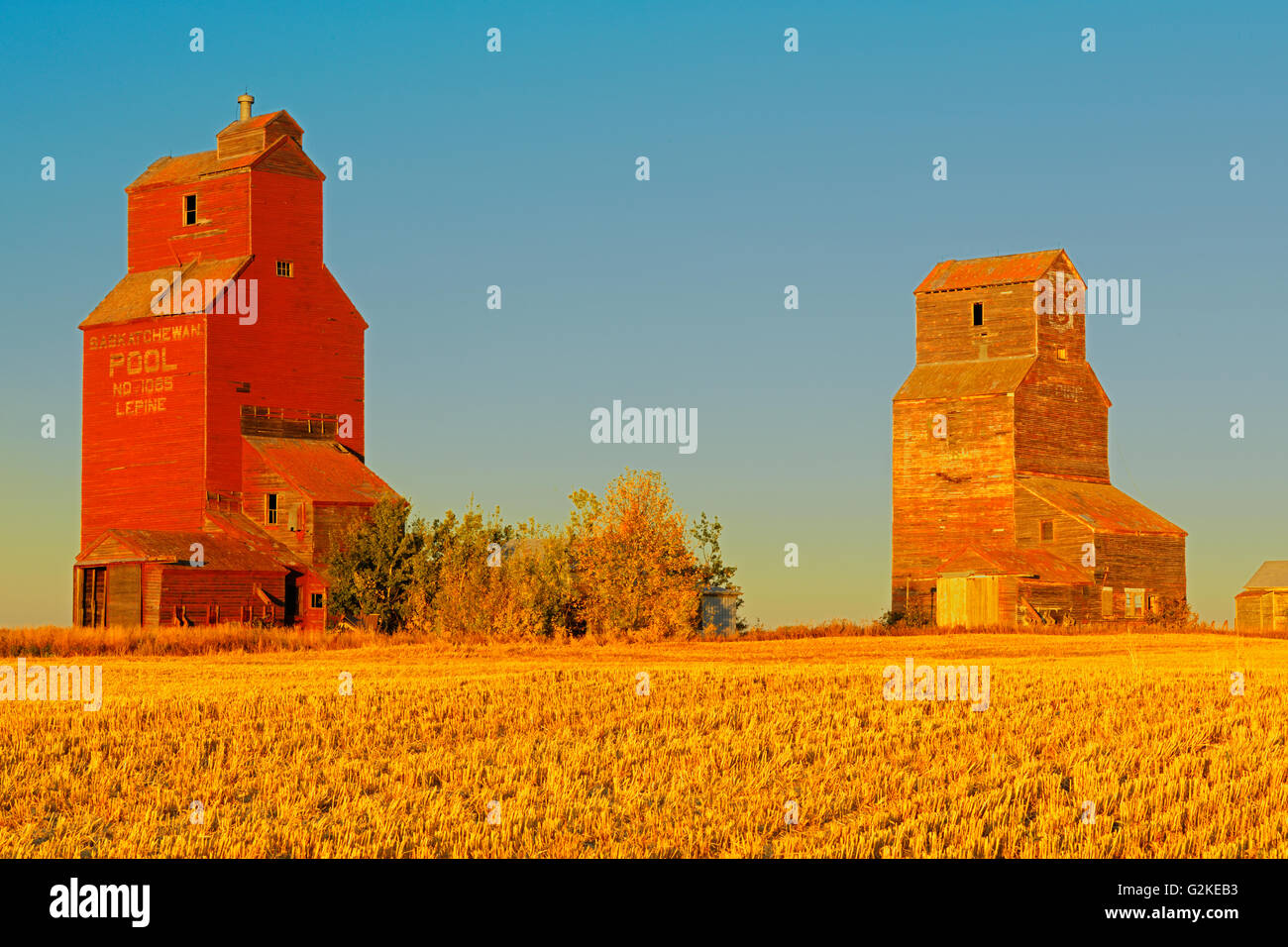 Getreidesilos in Geisterstadt Lepine Saskatchewan Kanada Stockfoto