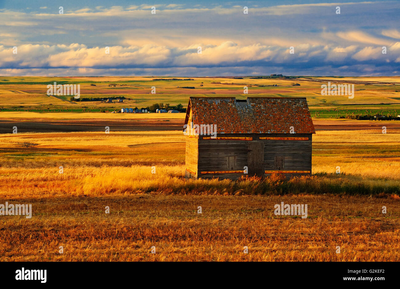 Eine Scheune auf der Prärie, Saskatchewan, Kanada Stockfoto