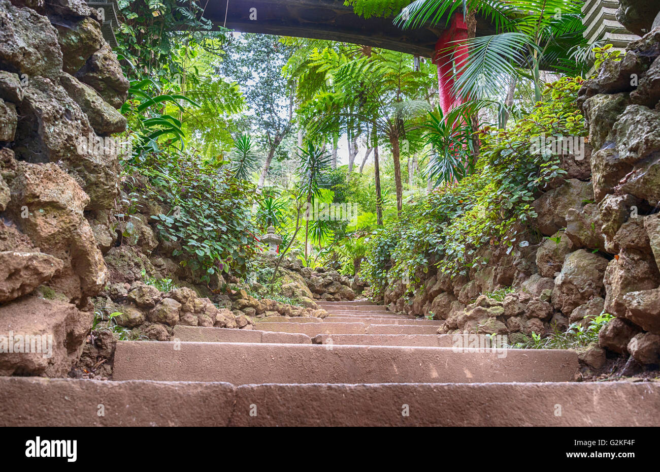 Botanische Gärten in Funchal Madeira mit dem japanischen Teil Withrocks und Treppen Stockfoto