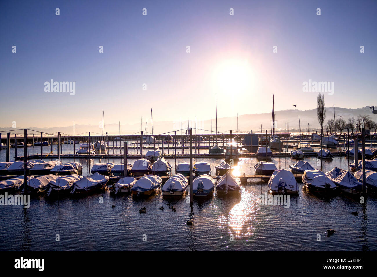 Schweiz, Arbon, Blick auf Hafen bei Sonnenuntergang Stockfoto