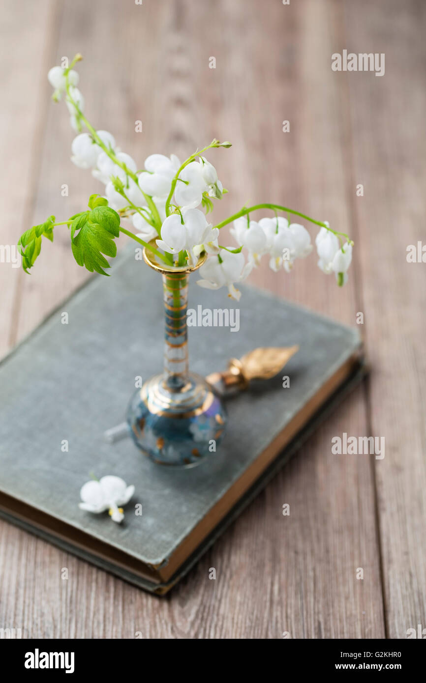 Weiße Lyra-Blumen in einer vase Stockfoto