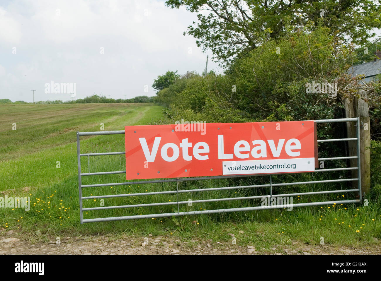 Brexit Abstimmung verlassen Zeichen Cornwall 2016 UK HOMER SYKES Stockfoto
