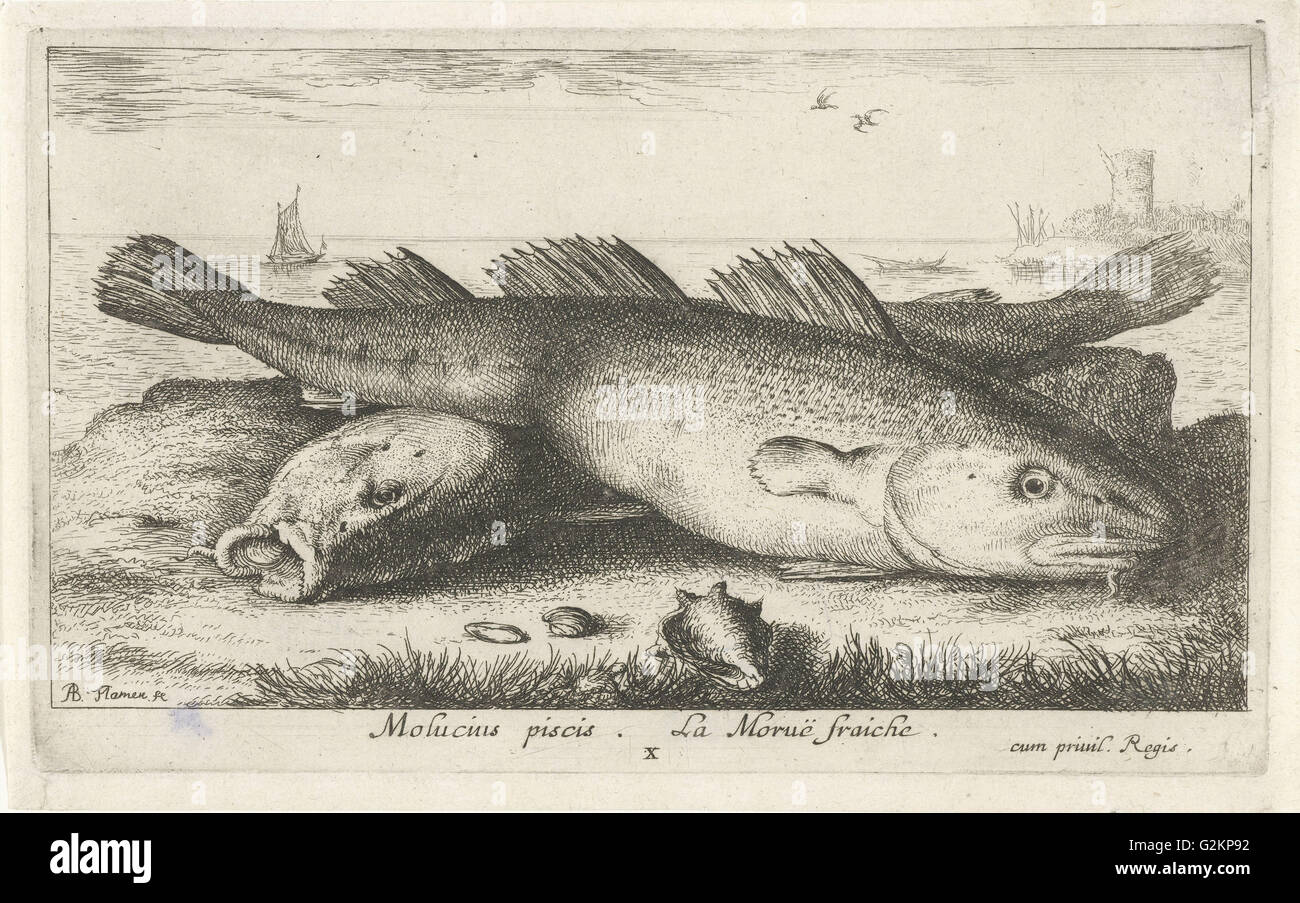 Zwei Kabeljau am Strand, Albert Flamen, 1664 Stockfoto