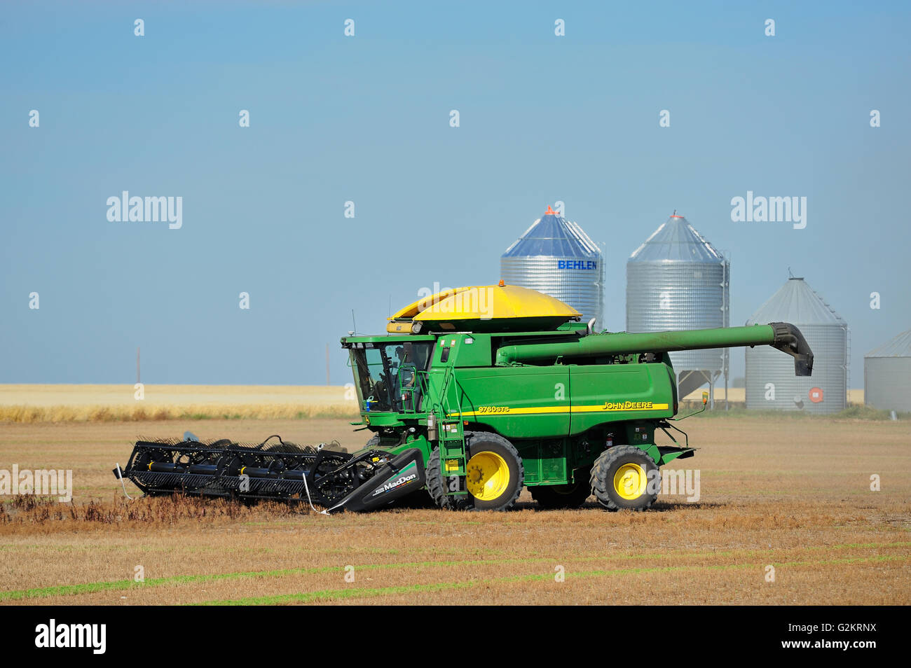 Linsen-Ernte. Kombinieren und Korn Lagerplätze Land Saskatchewan Kanada Stockfoto