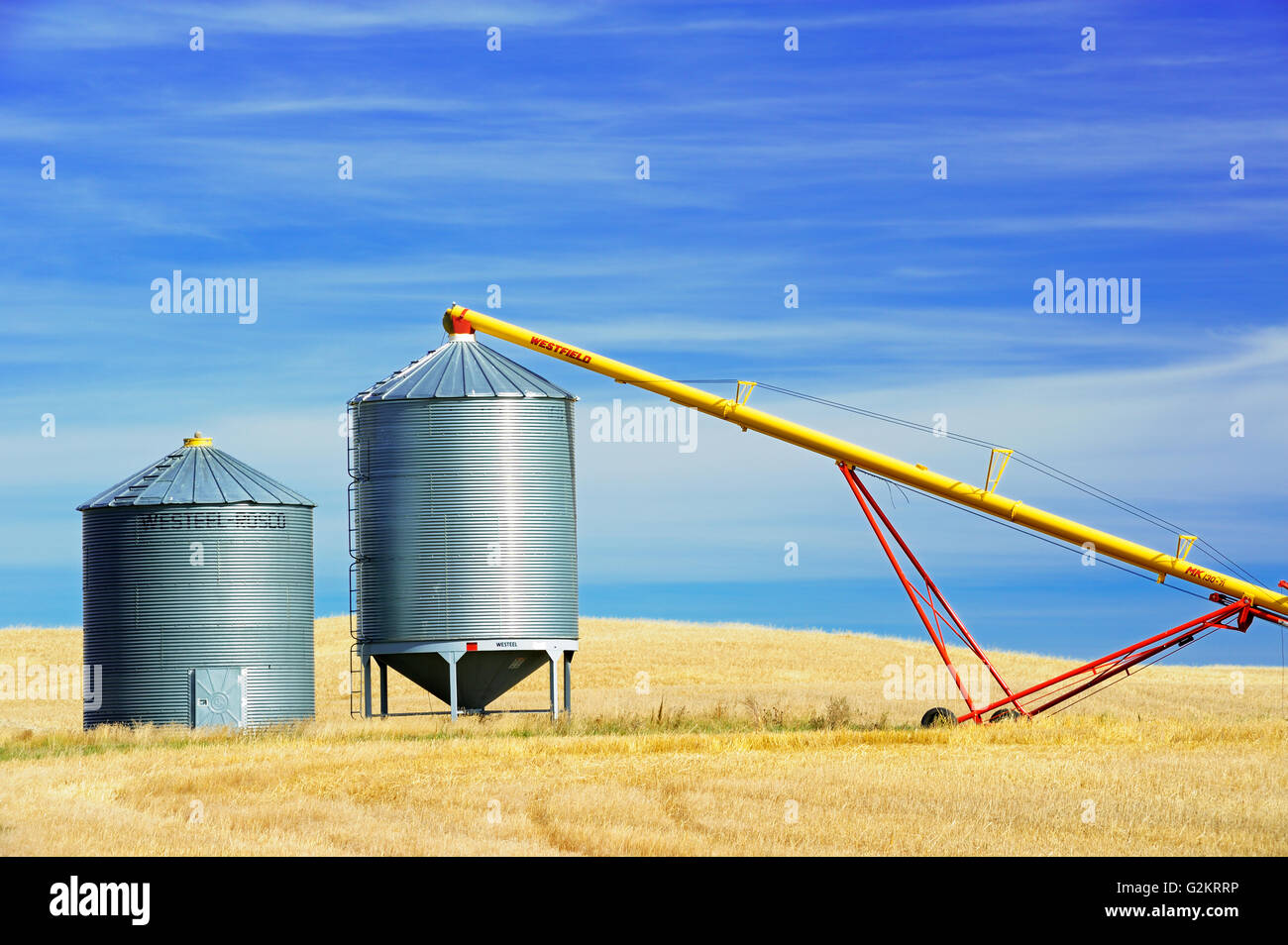 Getreidesilos und Schnecke in der Nähe von Beechy Saskatchewan Kanada Stockfoto