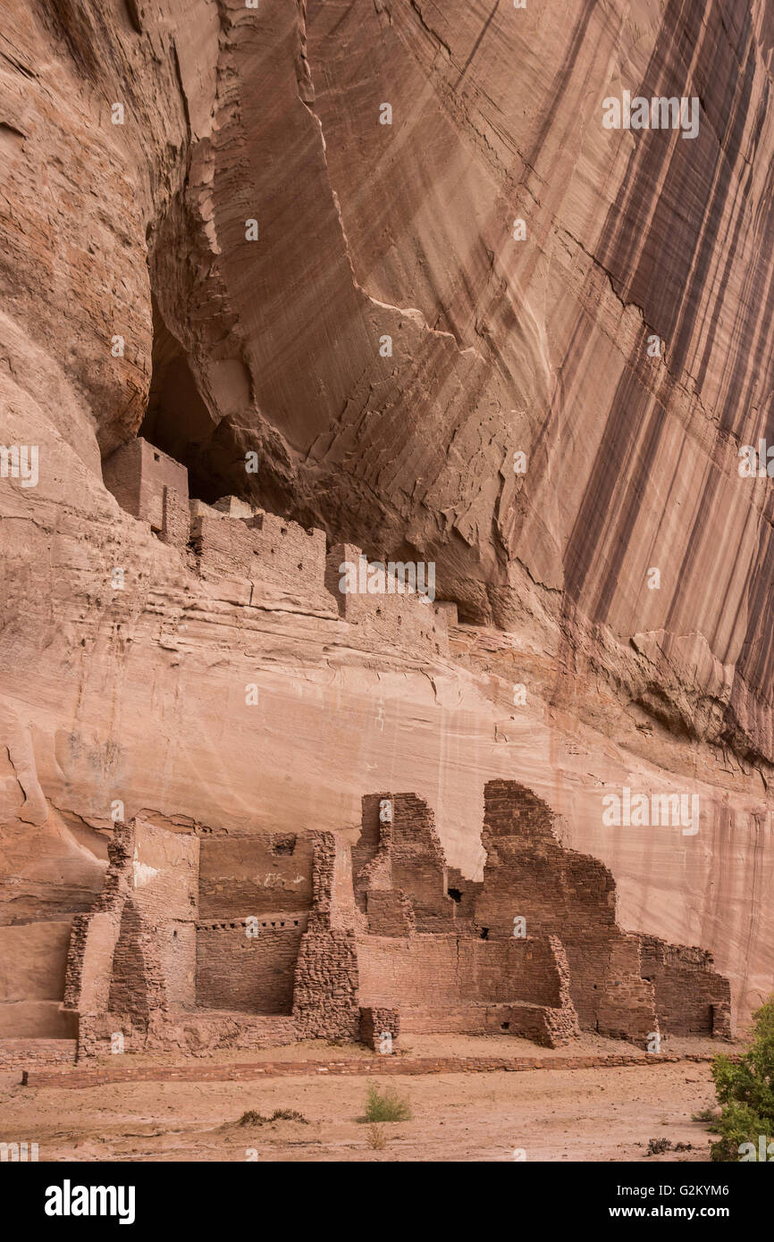 White House Ruinen in den Canyon de Chelly National Monument, Arizona, USA Stockfoto