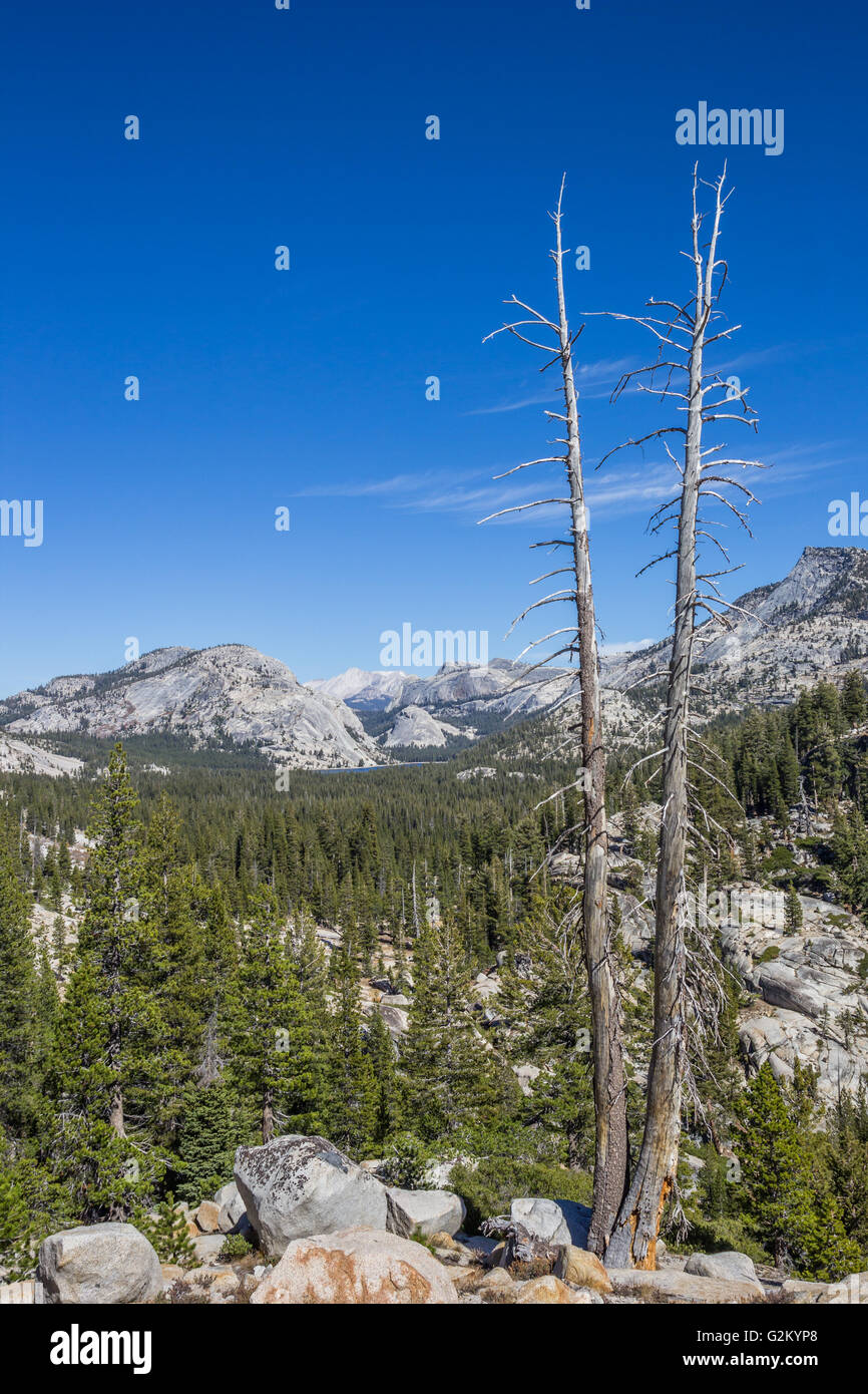 Blick vom Olmsted Point auf dem Tioga Pass im Yosemite National Park, USA Stockfoto