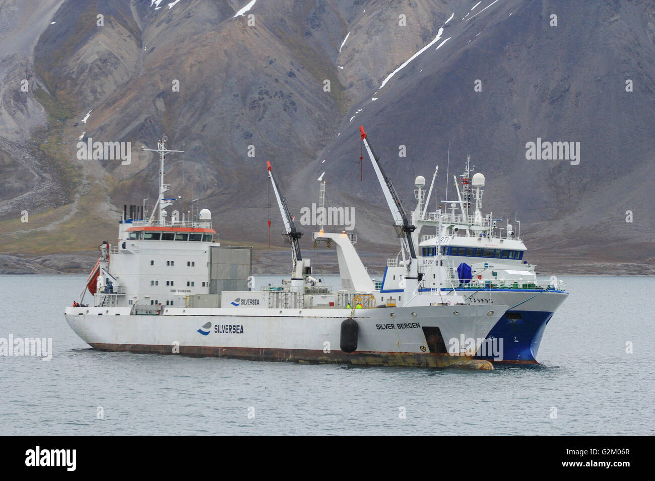 Fischkutter und ein Transportschiff angedockt. Svalbard-Küste. Stockfoto