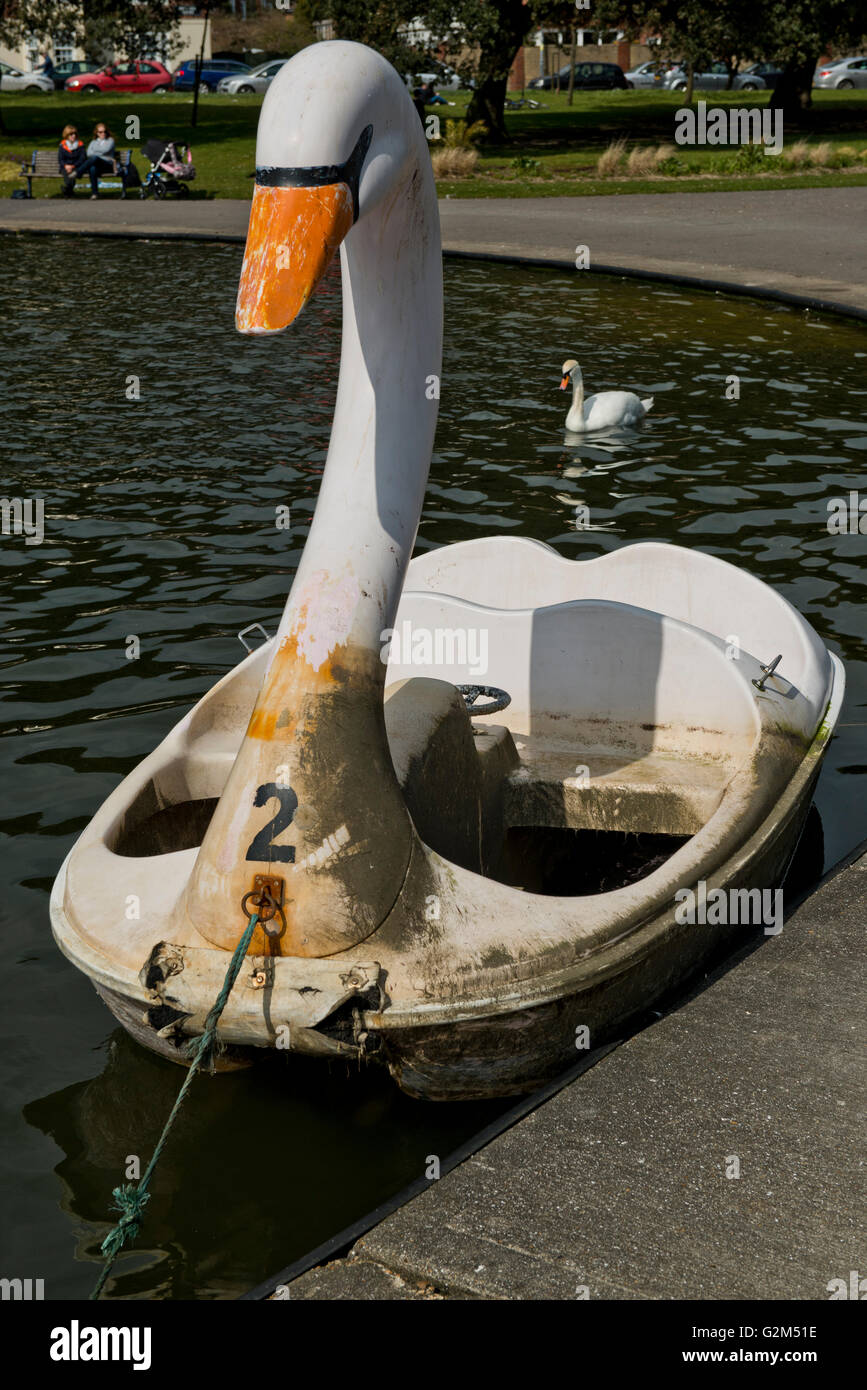 Schwan geformte Paddelboot mit einem echten Schwan im Hintergrund in Southsea Boating Lake, Portsmouth, Hampshire, UK Stockfoto