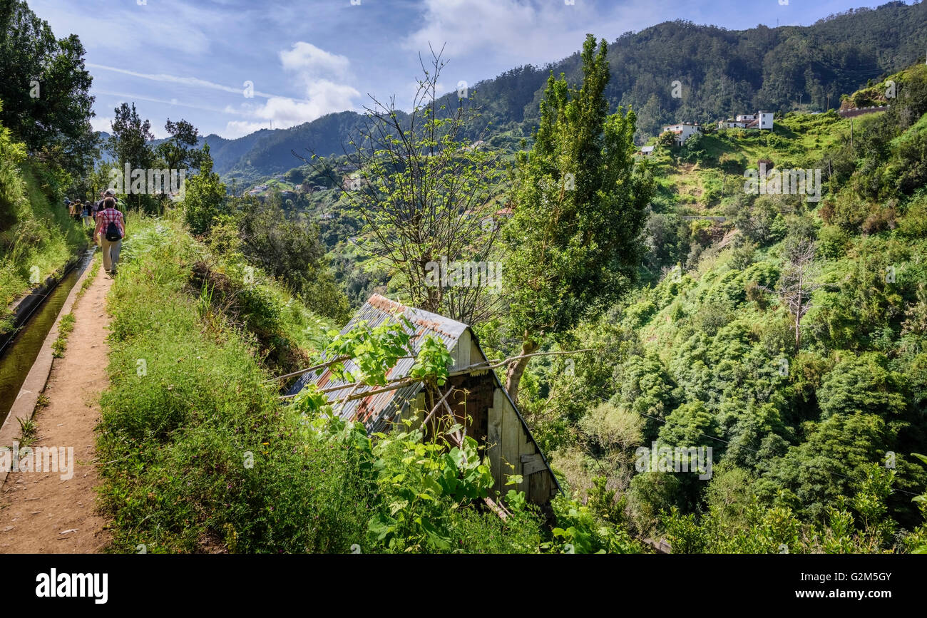 Wanderer auf einer levada auf Madeira Stockfoto