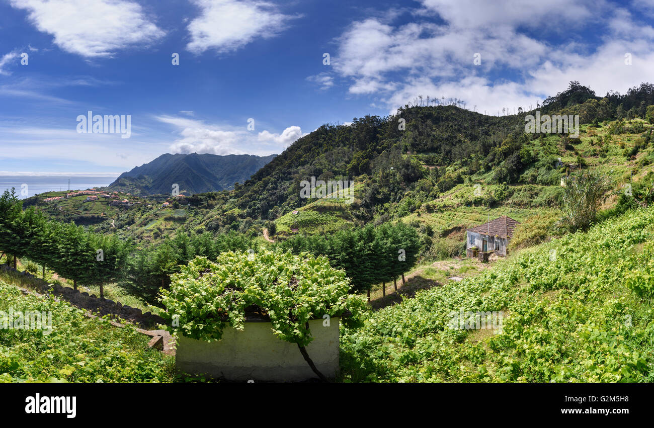 Bergbauernhof in Nord-Ost-Madeira Stockfoto