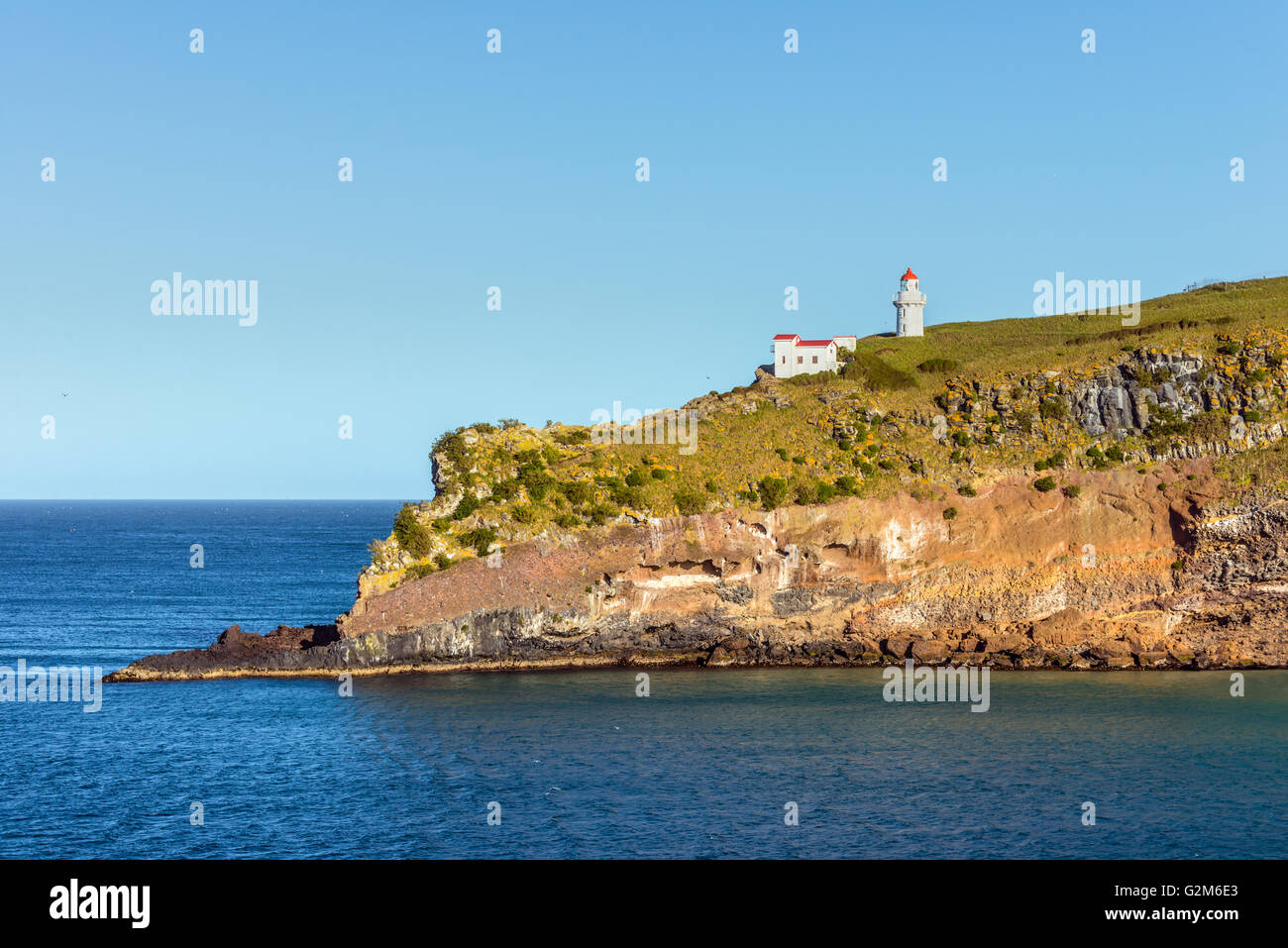 Leuchtturm bei Taiaroa Head, Otago Peninsula, Dunedin, Neuseeland Stockfoto