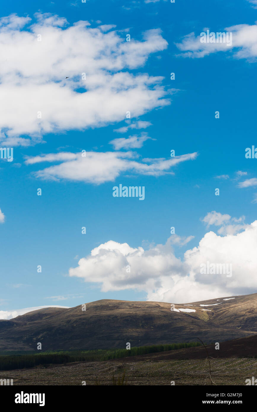 Blick auf Ben Wyvis von strathpeffer Stockfoto
