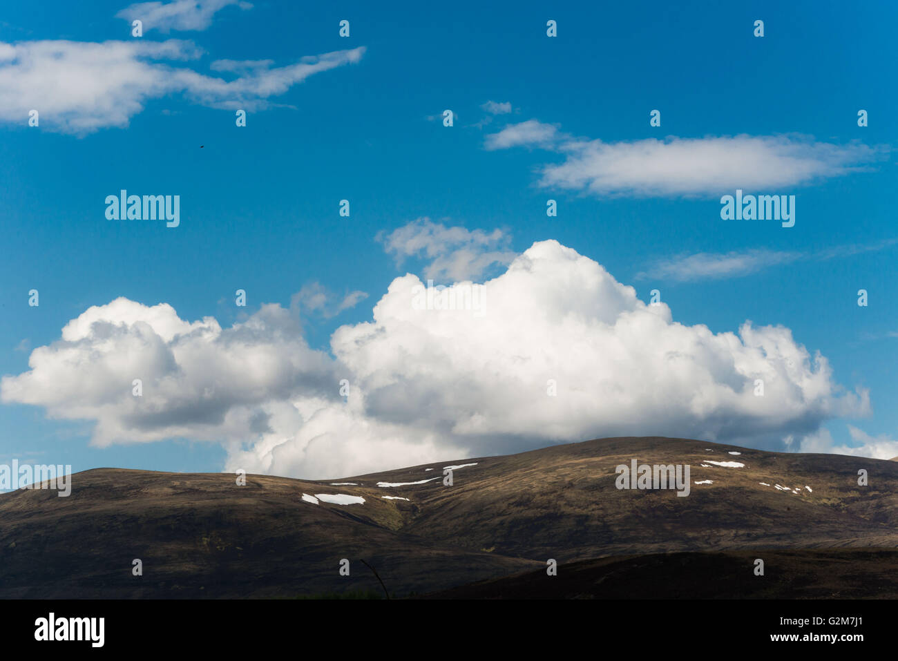 Blick auf Ben Wyvis von strathpeffer Stockfoto