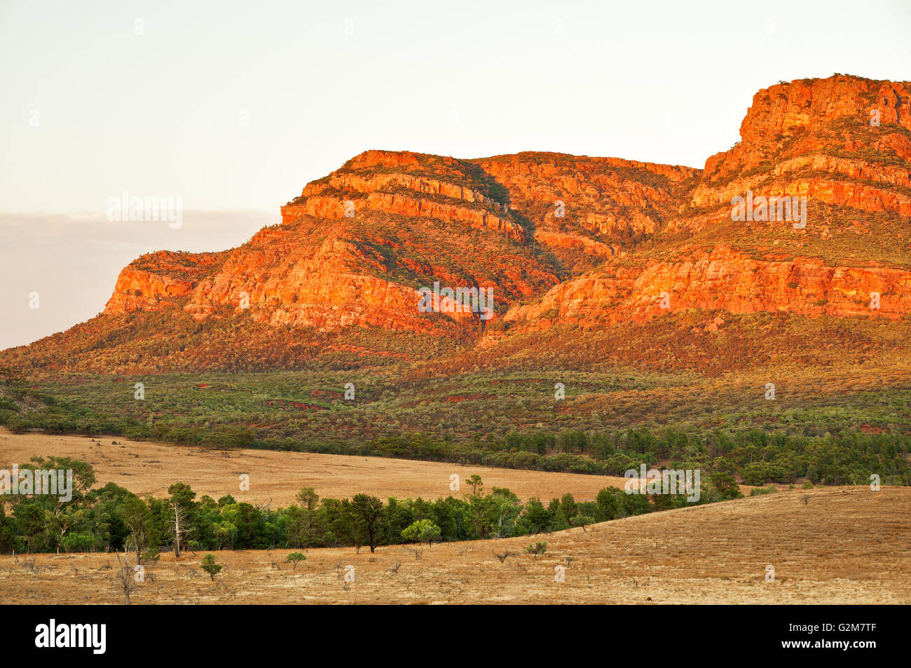 Rawnsley Bluff (Teil des Wilpena Pound) im Flinders Ranges National Park. Stockfoto