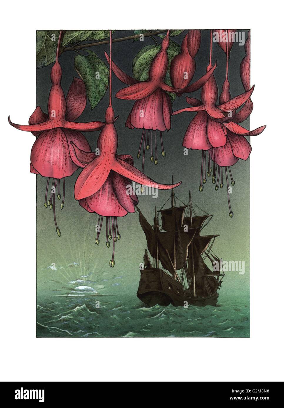 Rosa Blüten mit Schiff im Hintergrund Stockfoto