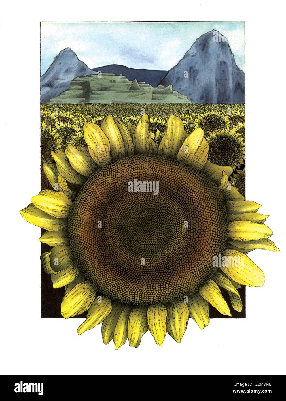 Nahaufnahme der Sonnenblume mit malerischen Landschaft im Hintergrund Stockfoto