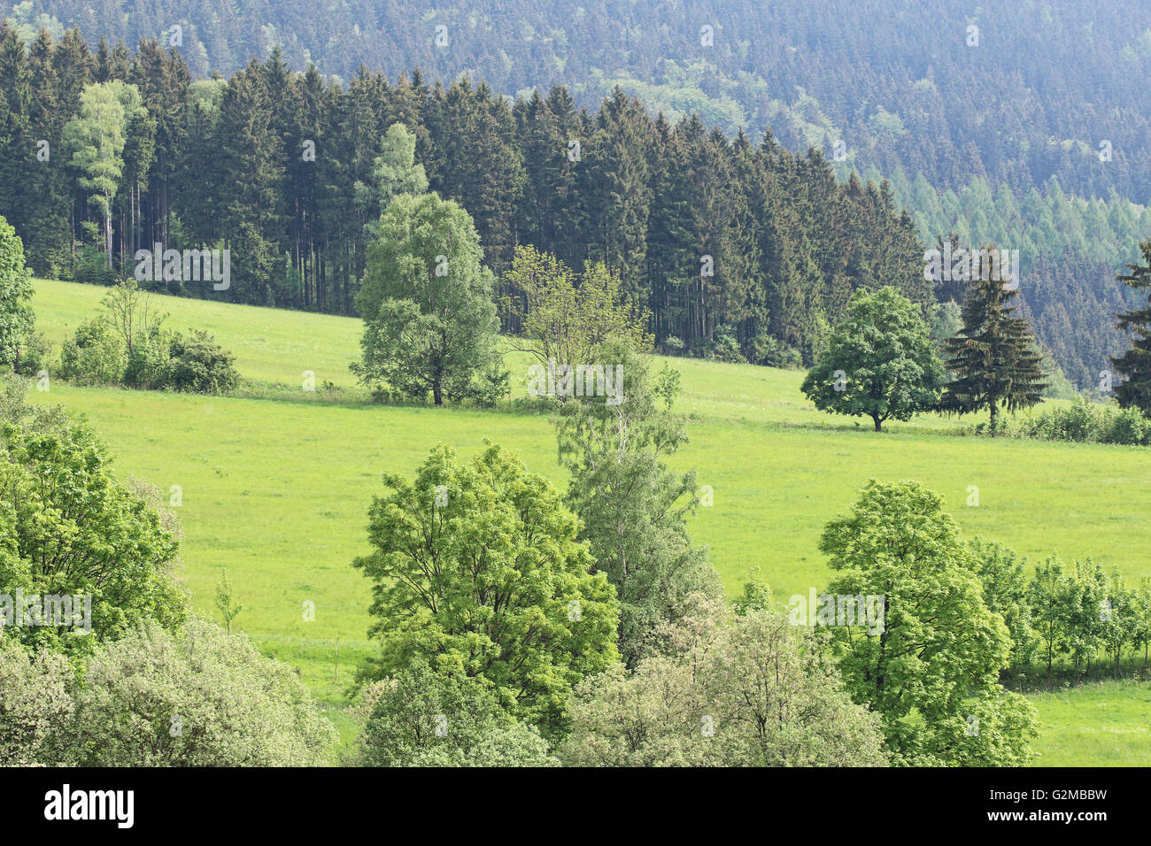 Landschaftsbild - Wiesen und Wälder Stockfoto