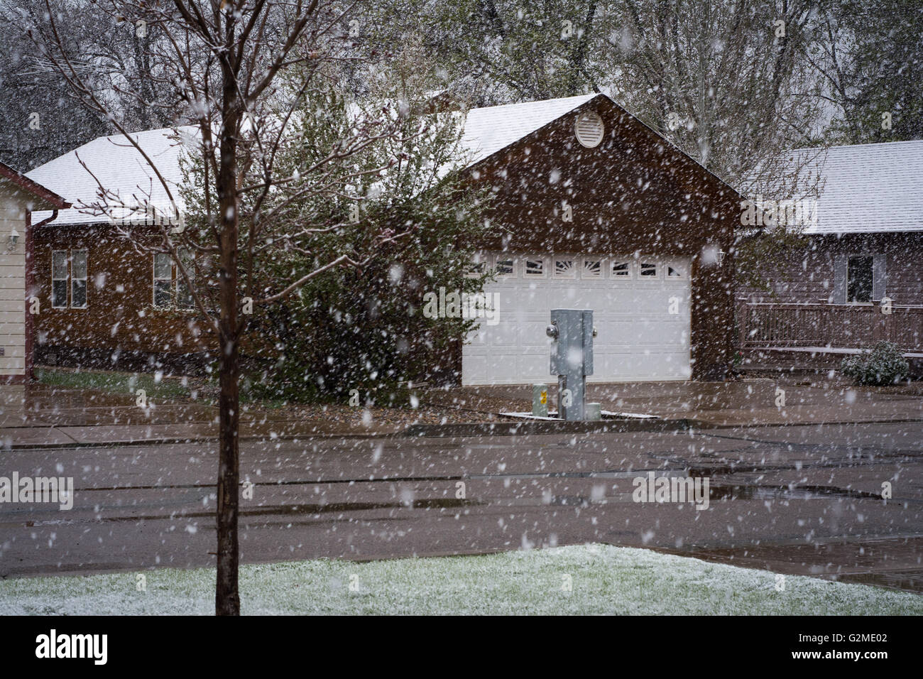 Schnee im Mai in Dolores, Colorado, USA Stockfoto