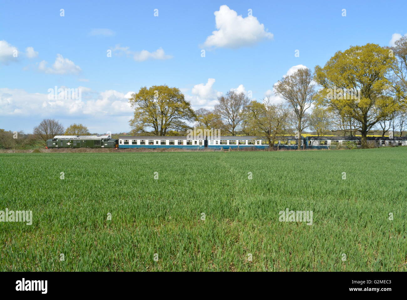 Klasse 37 D6729 durchläuft Essex Landschaft auf seiner Reise von Ongar zu North Weald während einer Gala-Veranstaltung. Stockfoto