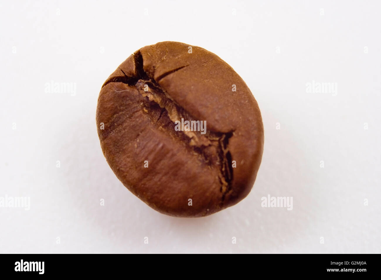 Eine Kaffeebohne Closeup Stockfotografie Alamy