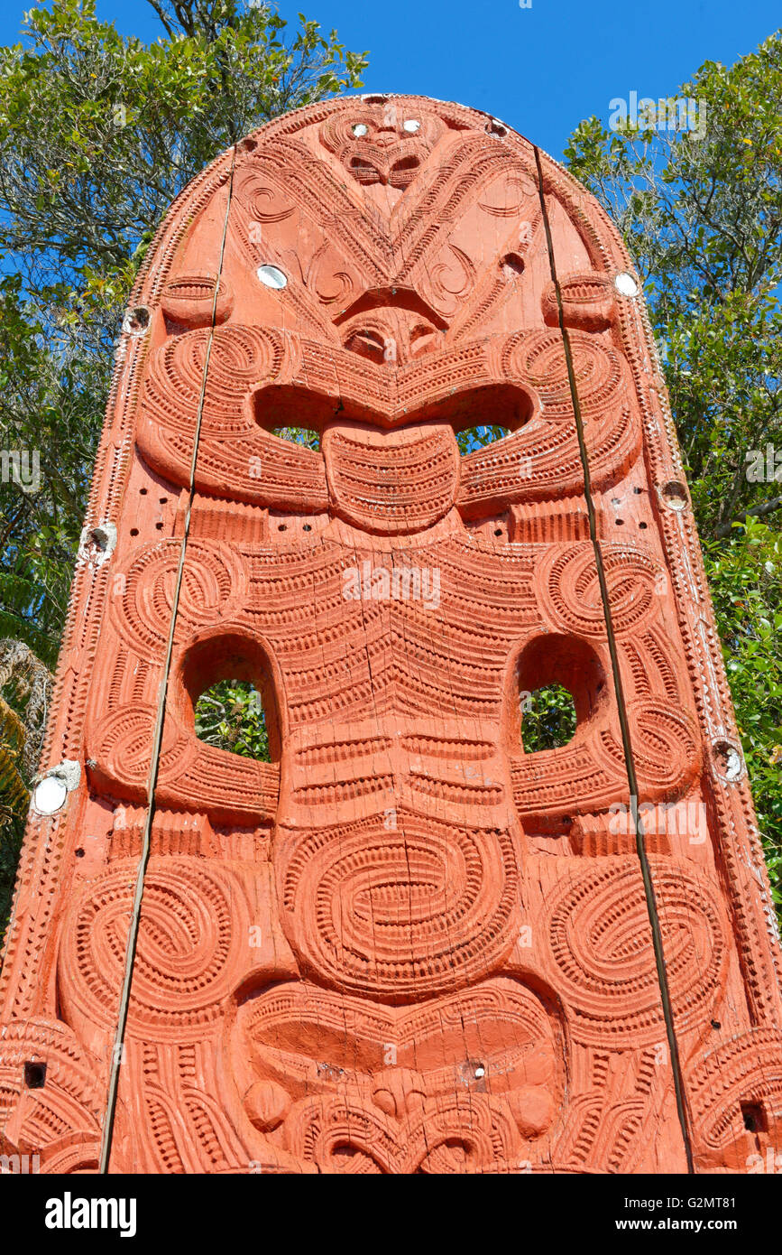 Maori carving, lebenden Maori Kulturzentrum Te Puia, Rotorua, whakarewarewa Valley, Neuseeland Stockfoto