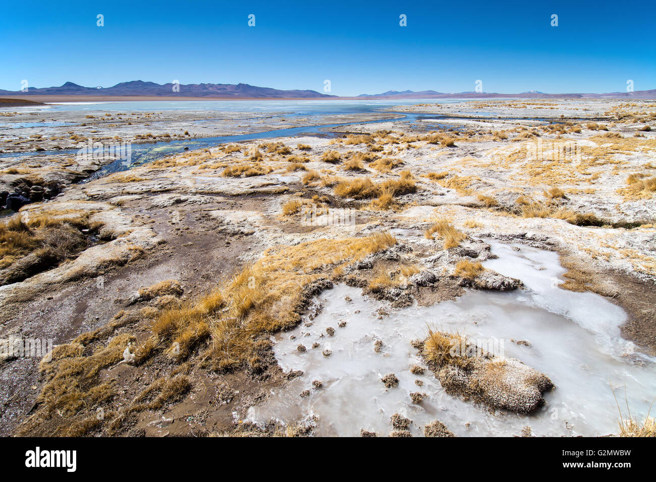 Ufer der Laguna Hedionda, mit Salz und Eis bedeckt, in Uyuni, Altiplano, Bolivien Stockfoto