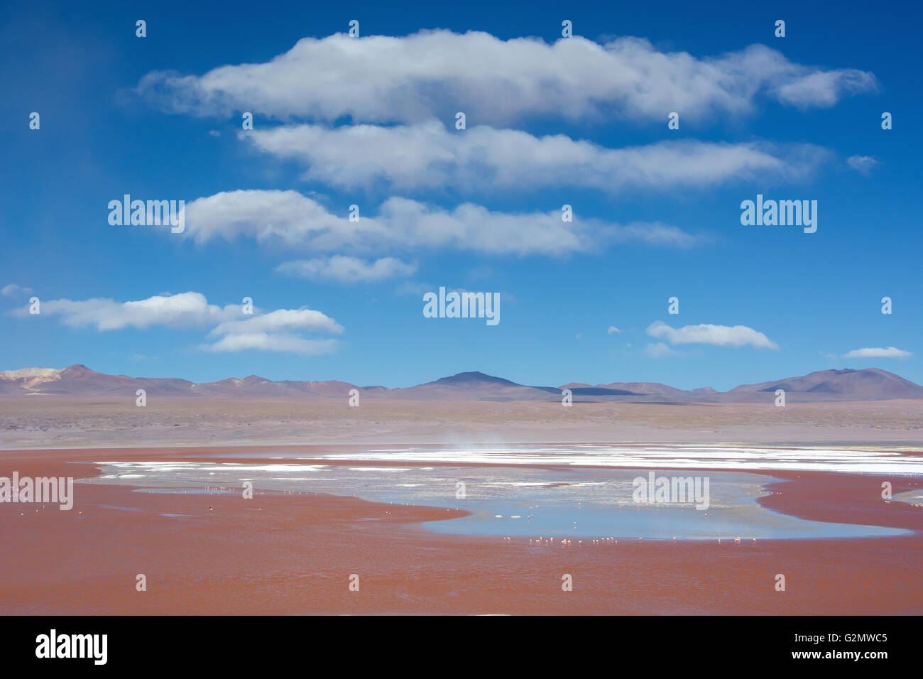 Laguna Colorada mit roten Wasser durch hohen Gehalt an Algen in Uyuni, Lipez, Bolivien Stockfoto
