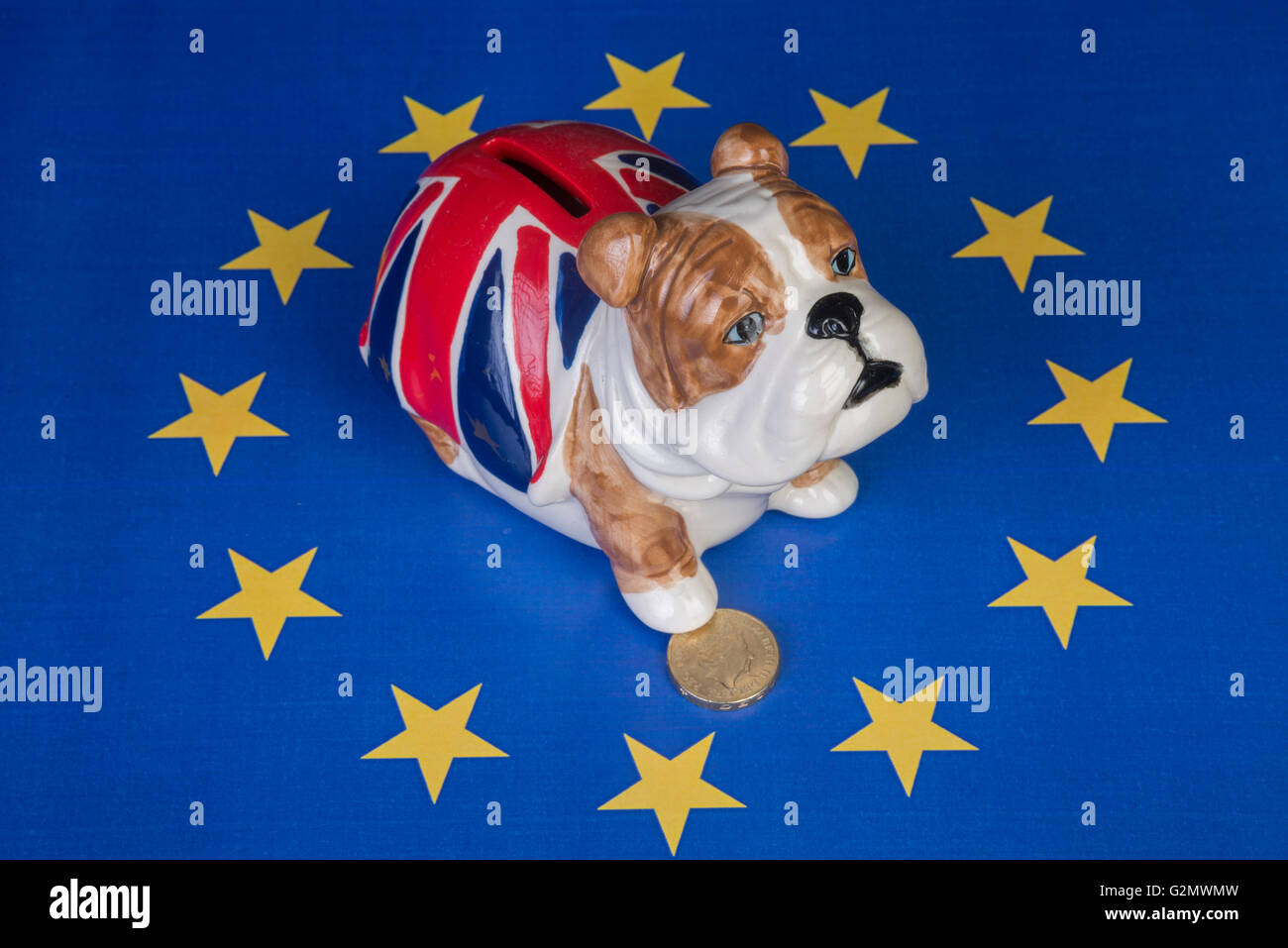 Britische Bulldogge sitzt in EU-Sternen und hält eine Pfote auf ein Pfund-Münze Stockfoto