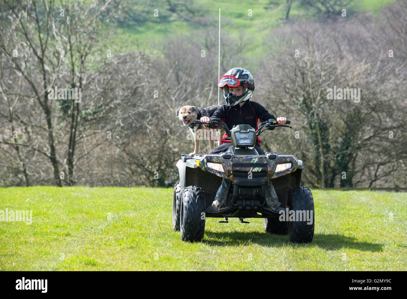 Kleiner Junge und seine kleinen Border Terrier Hund auf einem Quad-Bike in einem Feld in der englischen Landschaft Stockfoto