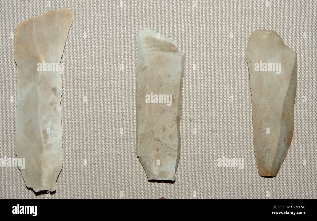 Feuerstein Blades, Jungpaläolithikum, Südindien. Stockfoto
