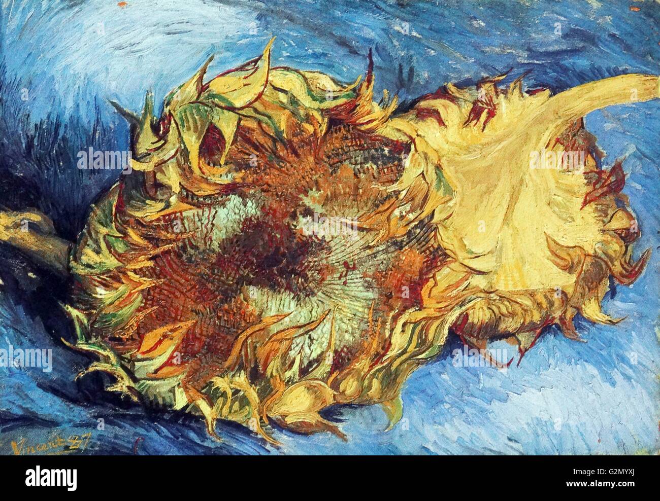 Gemälde des berühmten holländischen Malers Vincent Van Gogh (30. März 1853 - 29. Juli 1890), mit dem Titel "noch Leben mit zwei Sonnenblumen'. Im Jahr 1887 abgeschlossen. Stockfoto