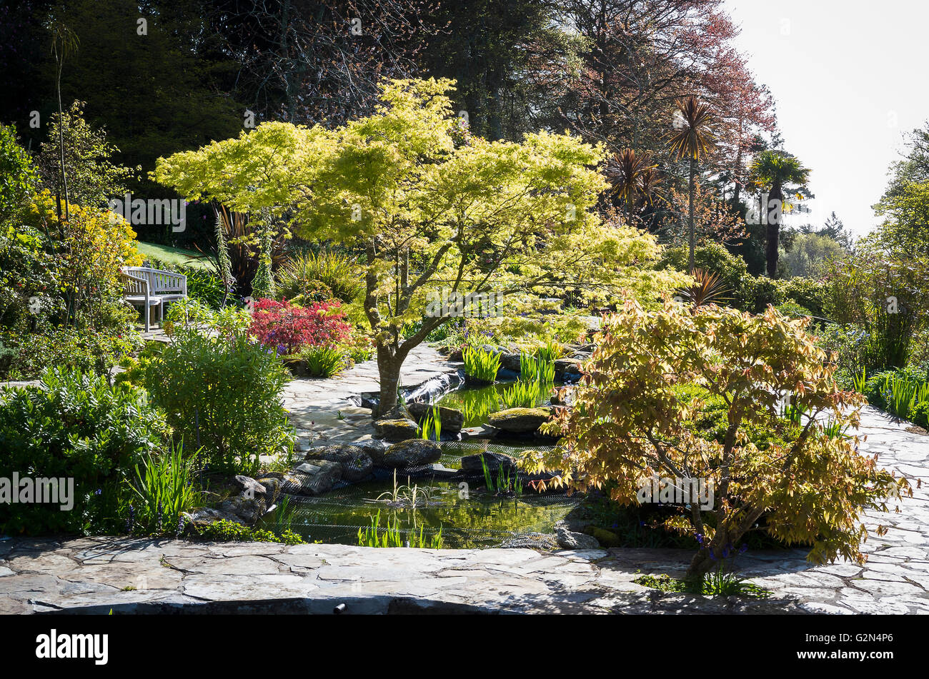 Wasser-Garten auf dem Gelände des The Meudon Hotel in Cornwall Stockfoto